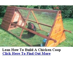 Build Your Own Chicken Coop